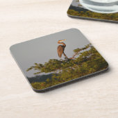 Blue Heron on Tree Oben Getränkeuntersetzer (Linke Seite)