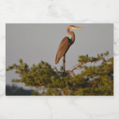 Blue Heron on Tree Oben Lebensmitteletikett (Einzelnes Label)