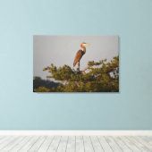 Blue Heron on Tree Oben Leinwanddruck (Insitu (Holzboden))