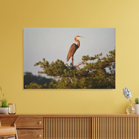 Blue Heron on Tree Oben Leinwanddruck (Insitu (Wohnzimmer))