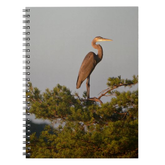 Blue Heron on Tree Oben Notizblock (Vorderseite)