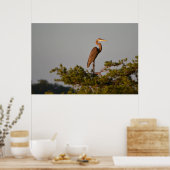 Blue Heron on Tree Oben Poster (Küche)