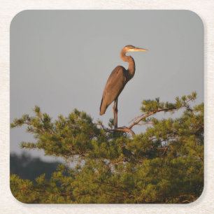 Blue Heron on Tree Oben Rechteckiger Pappuntersetzer