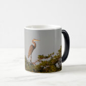 Blue Heron on Tree Oben Verwandlungstasse (VorderseiteRechts)