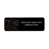 Blue Heron P2391 (Vorne)