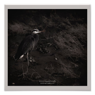 Blue Heron P2391 Fotodruck