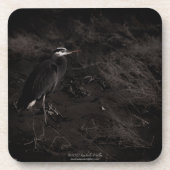 Blue Heron P2391 Getränkeuntersetzer (Vorderseite)