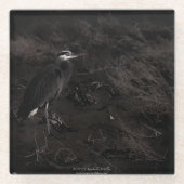 Blue Heron P2391 Glasuntersetzer (Vorderseite)