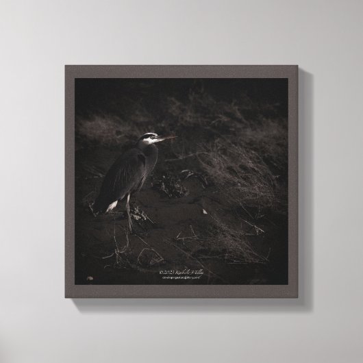 Blue Heron P2391 Leinwanddruck (Vorderseite)
