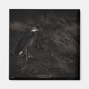 Blue Heron P2391 Magnet