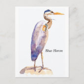 Blue Heron Postcard Postkarte (Vorderseite)
