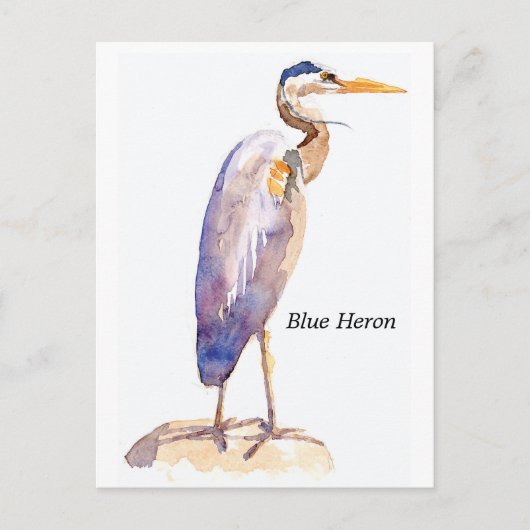 Blue Heron Postcard Postkarte (Vorderseite)