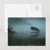 Blue Heron Postcard Postkarte (Vorne/Hinten)