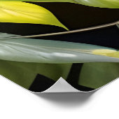 Blue Heron Poster (Ecke)