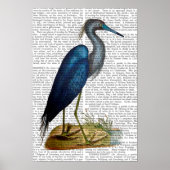 Blue Heron Poster (Vorne)