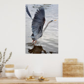 Blue Heron Poster (Küche)