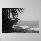 Blue Heron Poster (Vorne)