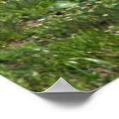 Blue Heron Poster (Ecke)