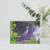 Blue Heron Postkarte (Stehend Vorderseite)