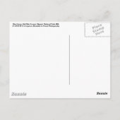 Blue Heron Postkarte (Rückseite)