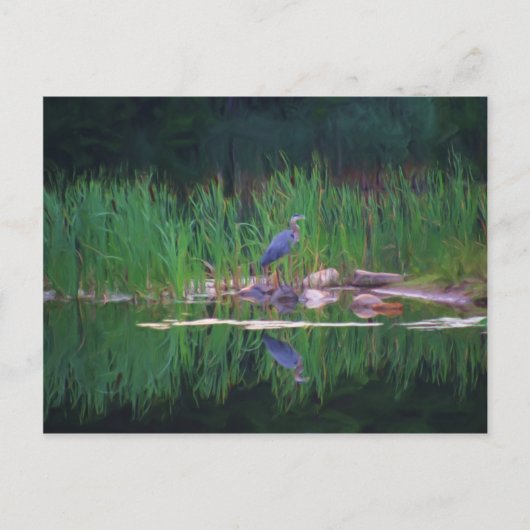 Blue Heron Reflections Tierisches Gemälde Postkart Postkarte (Vorderseite)