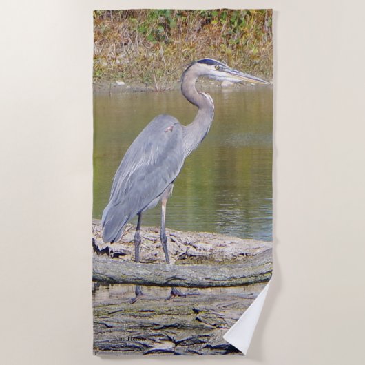 Blue Heron Strandtuch (Vorderseite)