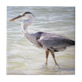 Blue Heron über den Schlüssel der Liebe Fliese (Vorderseite)