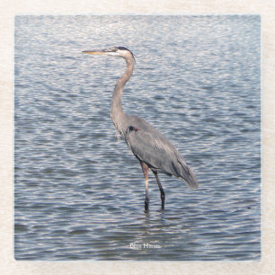Blue Heron Water Untersetzer