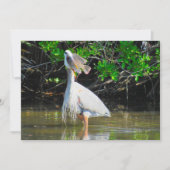 Blue Heron's Lunch-Karte (Vorderseite)