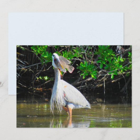 Blue Heron's Lunch-Karte (Vorne/Hinten)