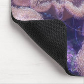 "Blue Hippo Tang Oasis" Maus Pad Mousepad (Ecke)