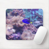 "Blue Hippo Tang Oasis" Maus Pad Mousepad (Mit Mouse)