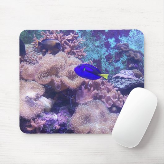 "Blue Hippo Tang Oasis" Maus Pad Mousepad (Mit Mouse)