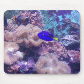 "Blue Hippo Tang Oasis" Maus Pad Mousepad (Vorne)