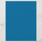 Blue History Book, History Course Advertising Flyer (Hinten)