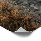 Blue Hole Poster (Ecke)