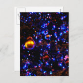 Blue Holiday Glow Feiertagspostkarte (Vorne/Hinten)