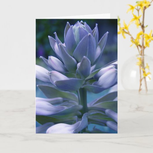 Blue Hosta "photographische" Karte (Gelbe Blume)