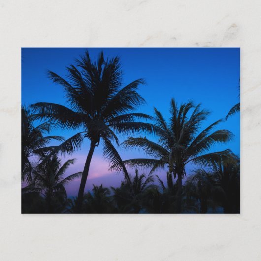 Blue Hour Bliss: Silhouette Palm Trees Postkarte (Vorderseite)
