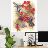 BLUE HUMMBIRDS MIT ORANGE TRUMPET VINES POSTER (Heimbüro)