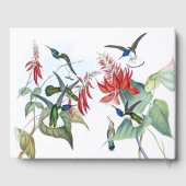 Blue Hummingbird Birds Red Floral Guest Book Gästebuch (Rückseite)