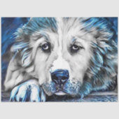 BLUE-Hund Seidenpapier (Vorderseite)