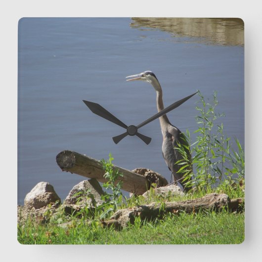 Blue Huron on Shore Quadratische Wanduhr (Vorderseite)