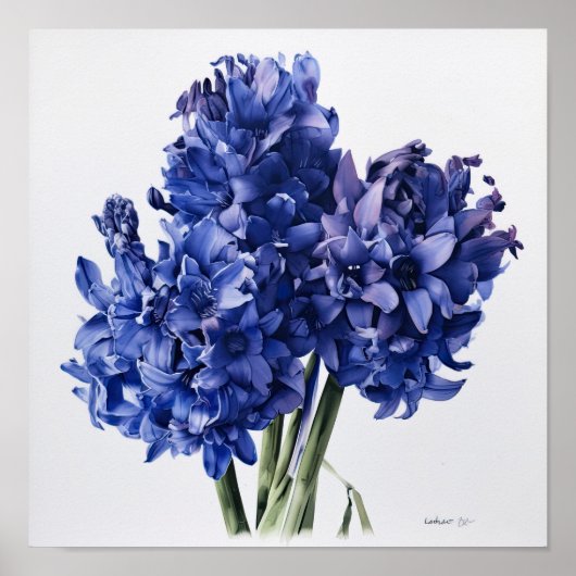 Blue Hyacinth Blume Art Print Poster (Vorne)