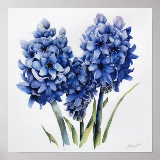 Blue Hyacinth Blume Art Print Poster (Vorne)