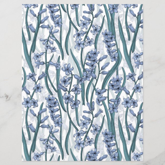 Blue Hyacinth Blume auf weiß (Vorderseite)