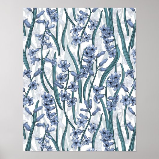 Blue Hyacinth Blume auf weiß Poster (Vorne)