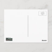 Blue Hyacinth Blume in einem Holland Postkarte (Rückseite)