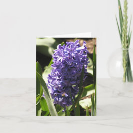 Blue Hyacinth Card Feiertagskarte