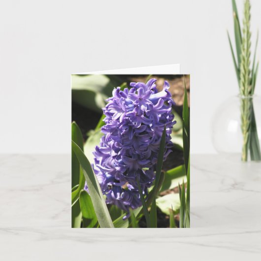 Blue Hyacinth Card Feiertagskarte (Vorderseite)